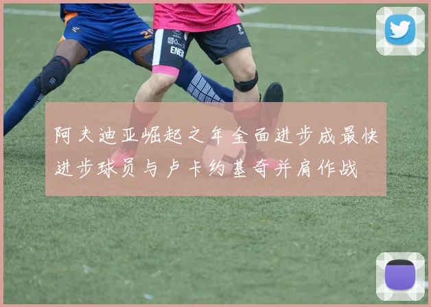 阿夫迪亚崛起之年全面进步成最快进步球员与卢卡约基奇并肩作战