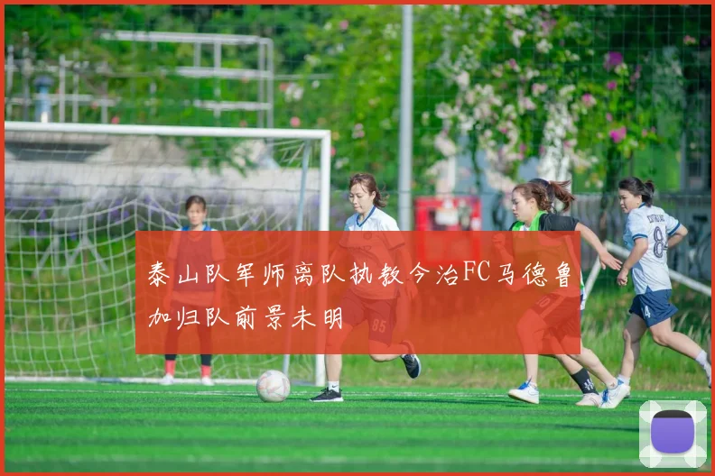 泰山队军师离队执教今治FC马德鲁加归队前景未明