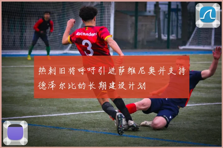 热刺旧将呼吁引进萨维尼奥并支持德泽尔比的长期建设计划